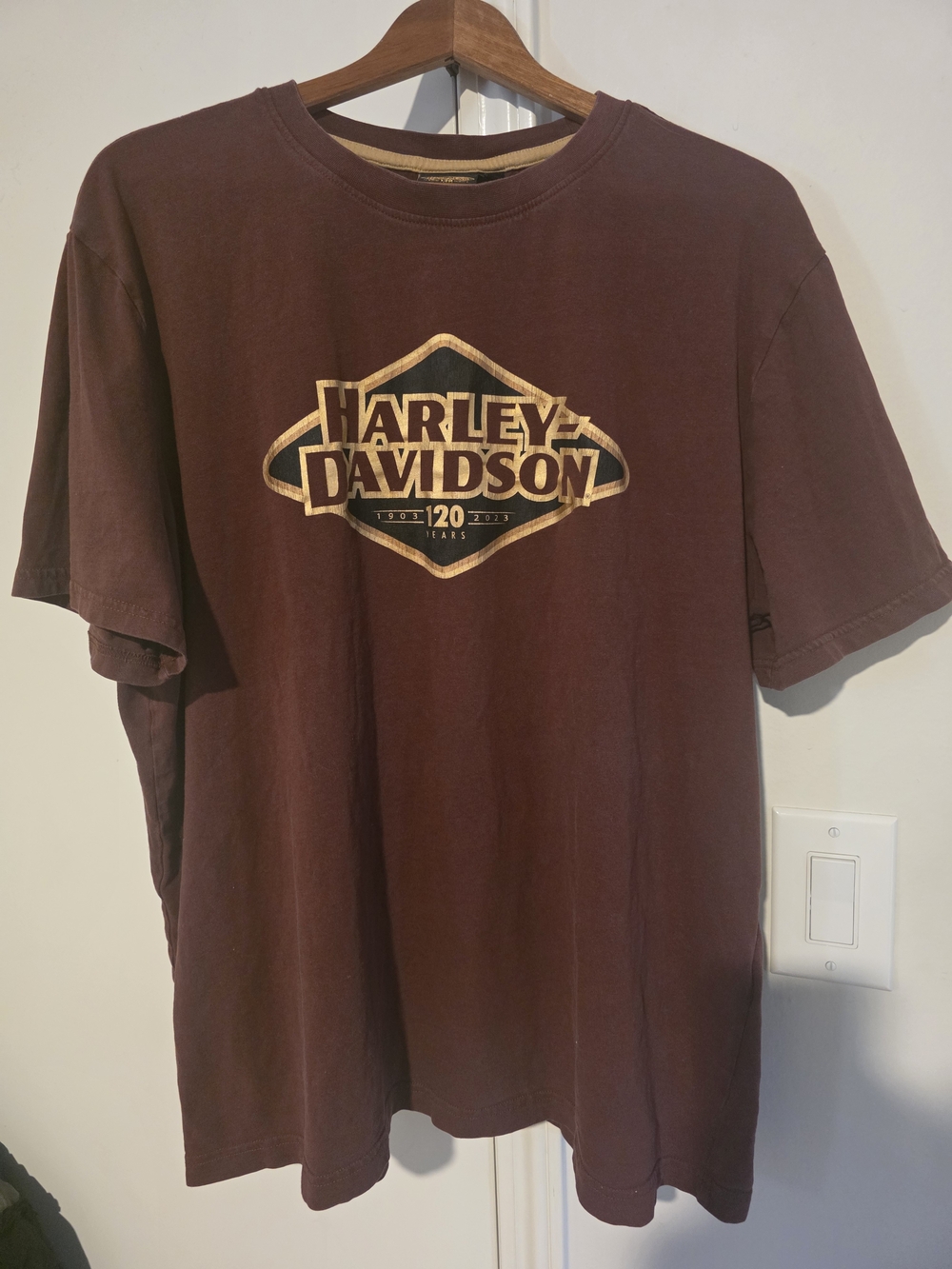 Harley-Davidson Men's Brown Logo Tee
